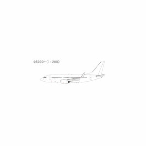 Blank Boeing 737-700/w (NG Models 1:200)