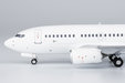 Blank Boeing 737-600 (NG Models 1:200)