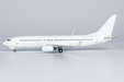 Blank Model - Boeing 737-800/w (NG Models 1:200)