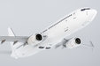 Blank Model Boeing 737-800/w (NG Models 1:200)