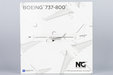Blank Model Boeing 737-800/w (NG Models 1:200)