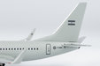 Argentina Air Force Boeing 737-700 (NG Models 1:400)