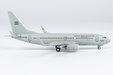 Argentina Air Force Boeing 737-700 (NG Models 1:400)