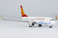 Hainan Airlines Boeing 737-800/w (NG Models 1:400)