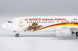 Hainan Airlines Boeing 737-800/w (NG Models 1:400)