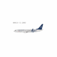 Delta Air Lines (Skyteam) - Boeing 737-800/w (NG Models 1:200)