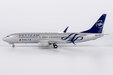 Delta Air Lines (Skyteam) - Boeing 737-800/w (NG Models 1:200)