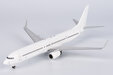 Blank Model Boeing 737-900/w (NG Models 1:200)